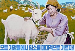 080826_nk2