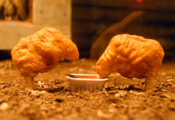 Chicken1thumb_2 Chicken1thumb_2