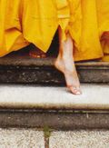 Traveler-foot