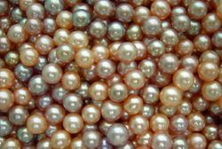 2-5-3-Mm-Small-Size-Freshwater-Pearl-Beads-BLP-0006-