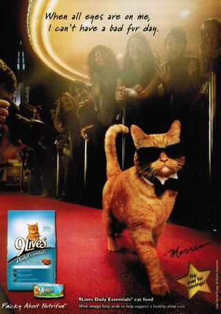 Morris cat red carpet glamour 9lives ad