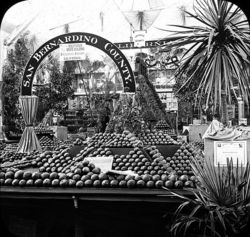 California Oranges World's_Columbian_Exposition-_Horticultural_Building,_Chicago,_United_States,_1893.