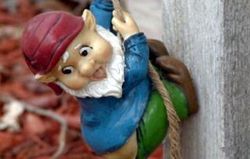 Gnome